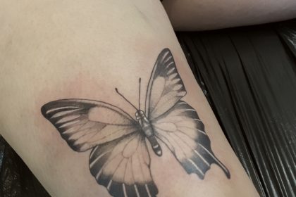Schmetterling