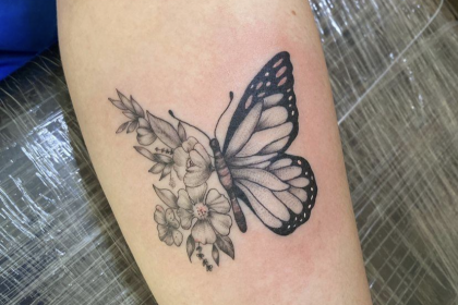 Schmetterling